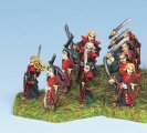 4801A Dark Elf Warriors (10)