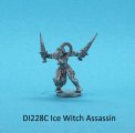 DI228C Ice Witch Assassin