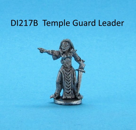 DI217B Ice Witch Temple Guard Leader - Click Image to Close