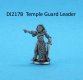 DI217B Ice Witch Temple Guard Leader