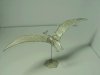 01-752 Pteranodon
